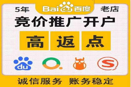 百度竞价广告投放案例剖析